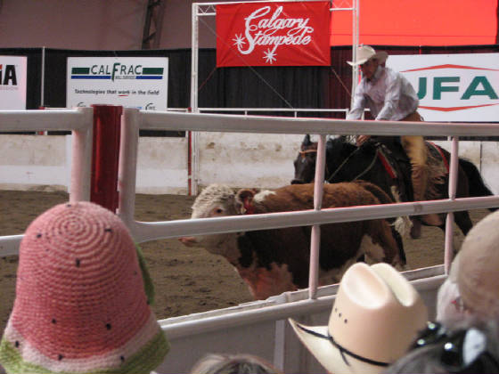 09cowhorsecompetition.jpg