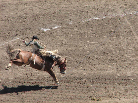 32saddlebroncriding.jpg