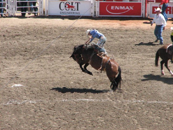 41saddlebroncriding.jpg