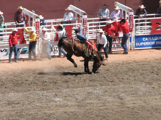 48barebackriding.jpg