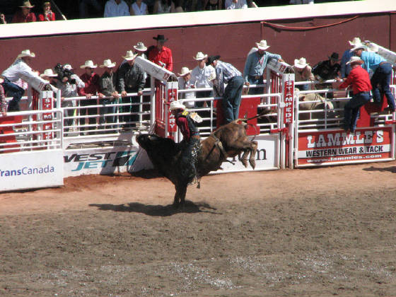 66bullriding.jpg